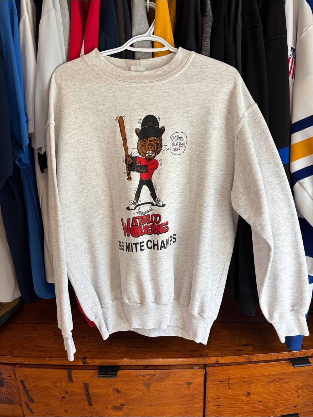 Waterloo Wolverines 95 Mite Champs, Boys Fastball sweater